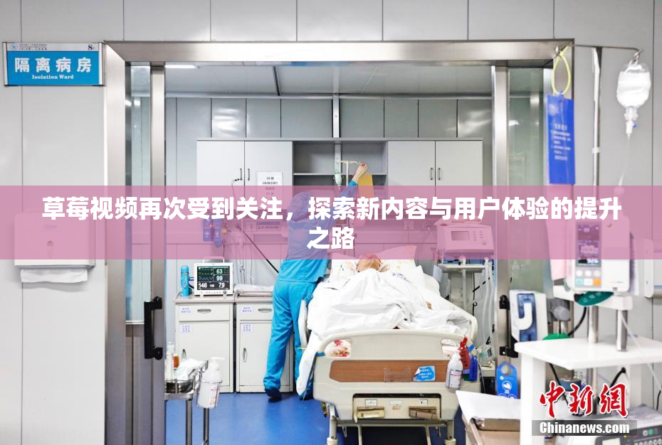 草莓视频再次受到关注，探索新内容与用户体验的提升之路