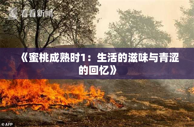 《蜜桃成熟时1：生活的滋味与青涩的回忆》