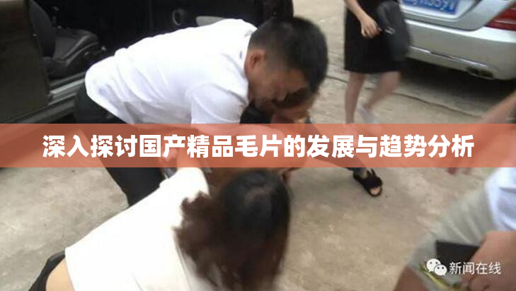 深入探讨国产精品毛片的发展与趋势分析