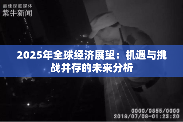 2025年全球经济展望：机遇与挑战并存的未来分析