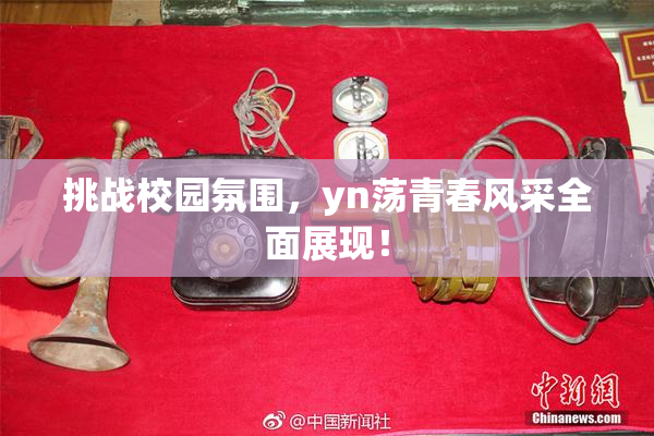 挑战校园氛围，yn荡青春风采全面展现！