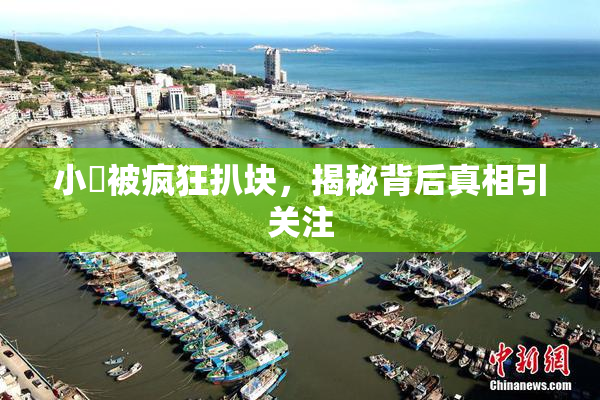 小泬被疯狂扒块，揭秘背后真相引关注