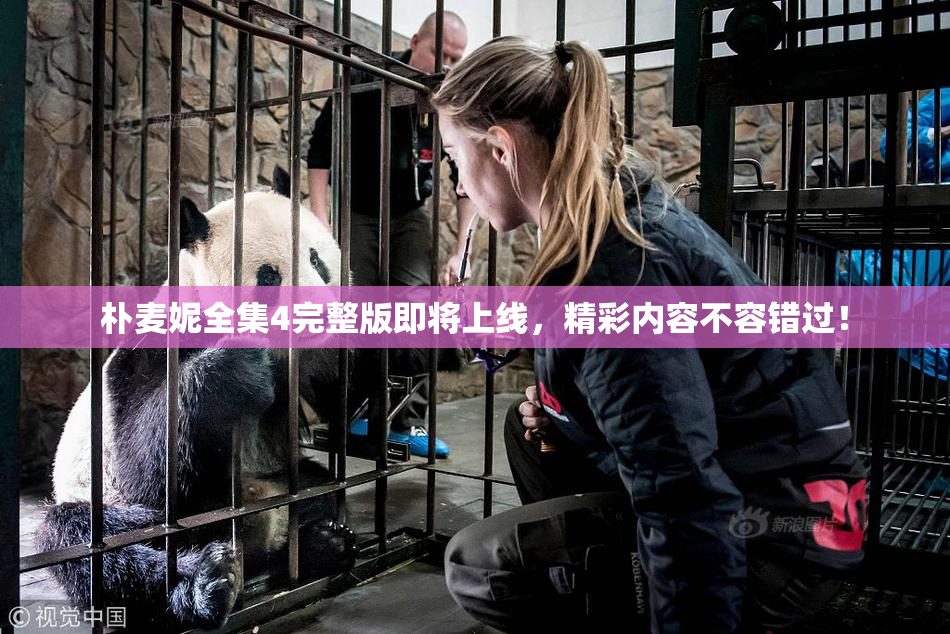 朴麦妮全集4完整版即将上线，精彩内容不容错过！