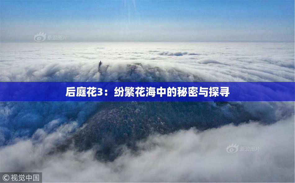 后庭花3：纷繁花海中的秘密与探寻