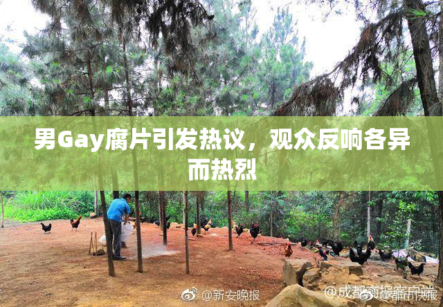 男Gay腐片引发热议，观众反响各异而热烈