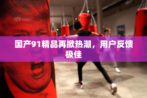 国产91精品再掀热潮，用户反馈极佳