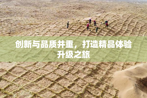 创新与品质并重，打造精品体验升级之旅