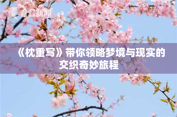 《枕重写》带你领略梦境与现实的交织奇妙旅程
