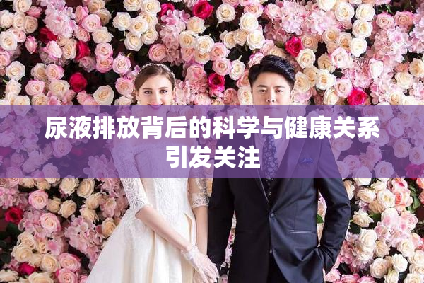 尿液排放背后的科学与健康关系引发关注