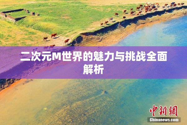 二次元M世界的魅力与挑战全面解析