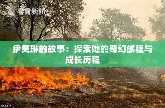 伊芙琳的故事：探索她的奇幻旅程与成长历程