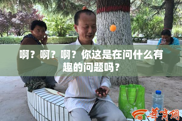 啊？啊？啊？你这是在问什么有趣的问题吗？