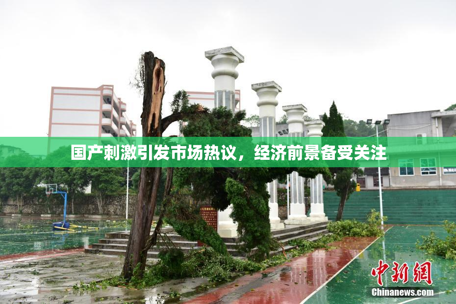 国产刺激引发市场热议，经济前景备受关注