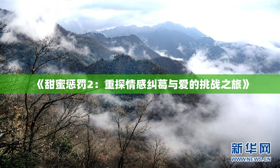 《甜蜜惩罚2：重探情感纠葛与爱的挑战之旅》