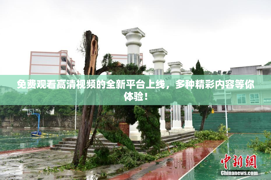 免费观看高清视频的全新平台上线，多种精彩内容等你体验！