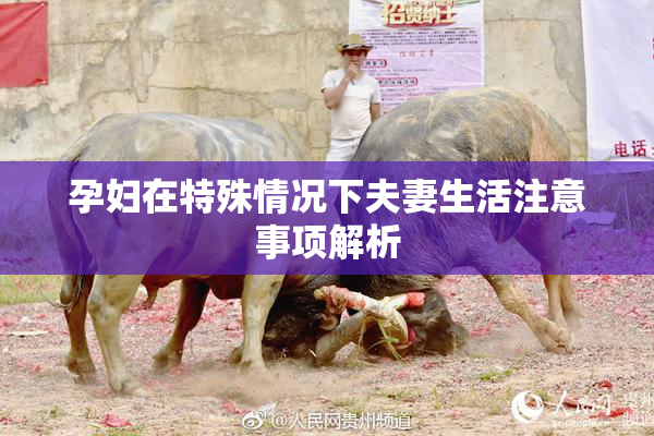 孕妇在特殊情况下夫妻生活注意事项解析