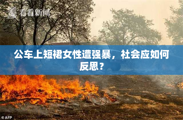 公车上短裙女性遭强暴，社会应如何反思？
