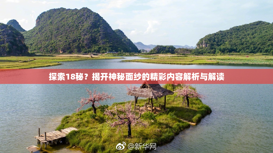 探索18秘？揭开神秘面纱的精彩内容解析与解读