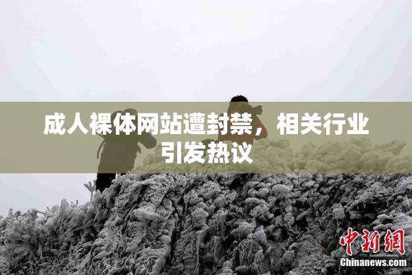 成人裸体网站遭封禁，相关行业引发热议