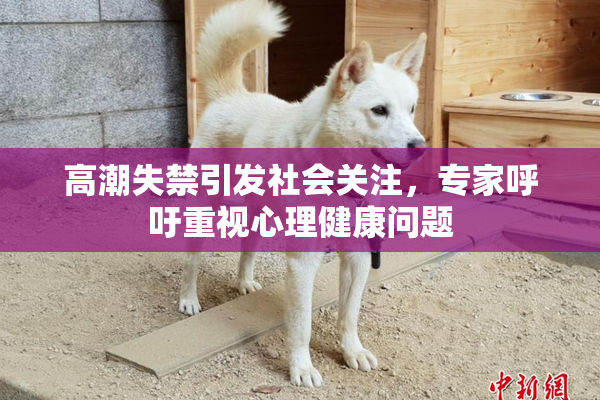 高潮失禁引发社会关注，专家呼吁重视心理健康问题