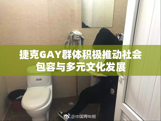 捷克GAY群体积极推动社会包容与多元文化发展
