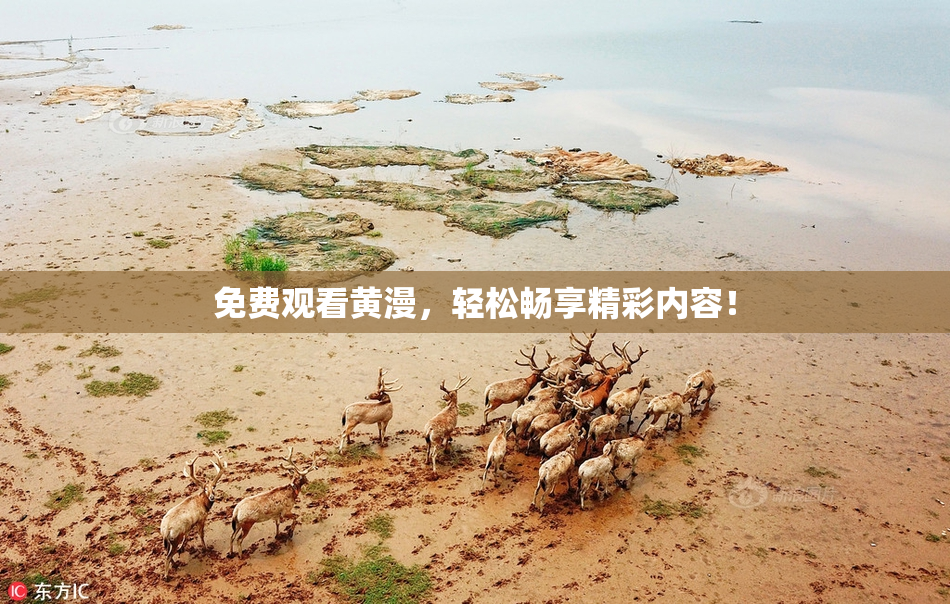 免费观看黄漫，轻松畅享精彩内容！