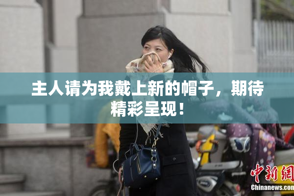 主人请为我戴上新的帽子，期待精彩呈现！