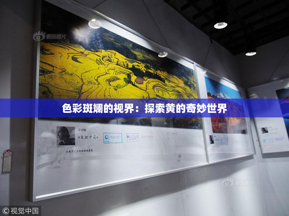 色彩斑斓的视界：探索黄的奇妙世界