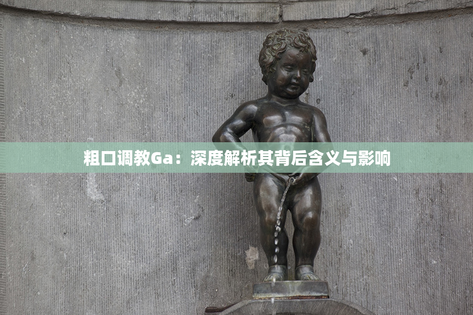 粗口调教Ga：深度解析其背后含义与影响