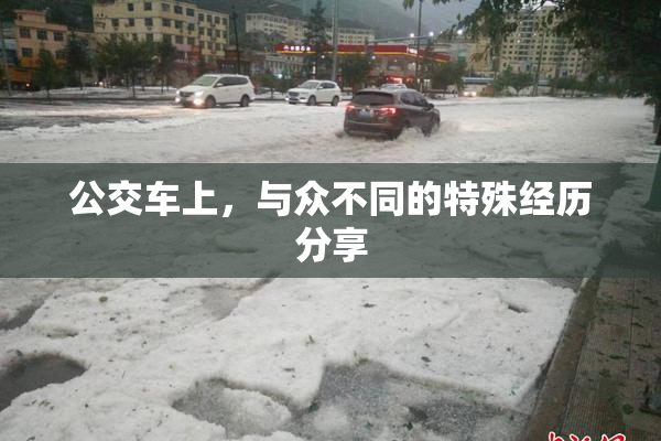 公交车上，与众不同的特殊经历分享