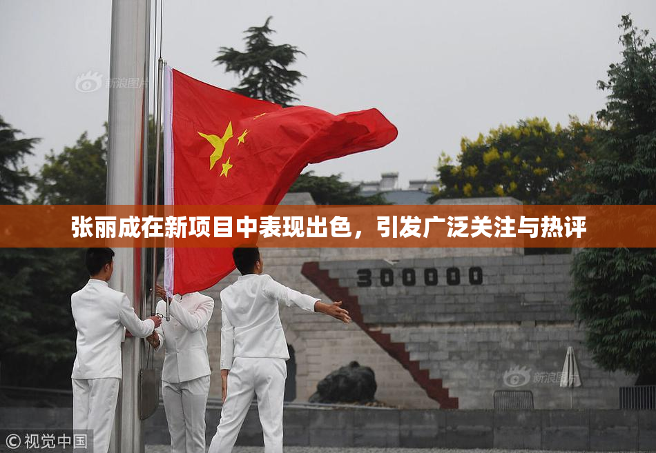 张丽成在新项目中表现出色，引发广泛关注与热评