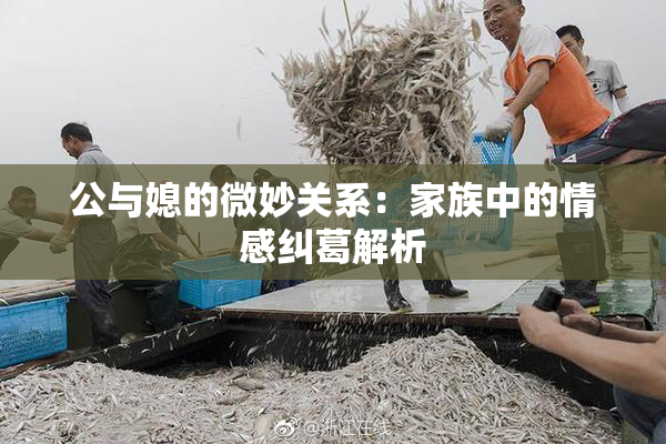公与媳的微妙关系：家族中的情感纠葛解析