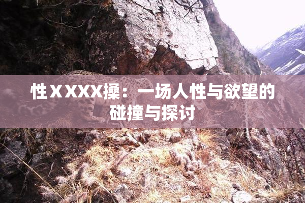 性ⅩXXX搡：一场人性与欲望的碰撞与探讨