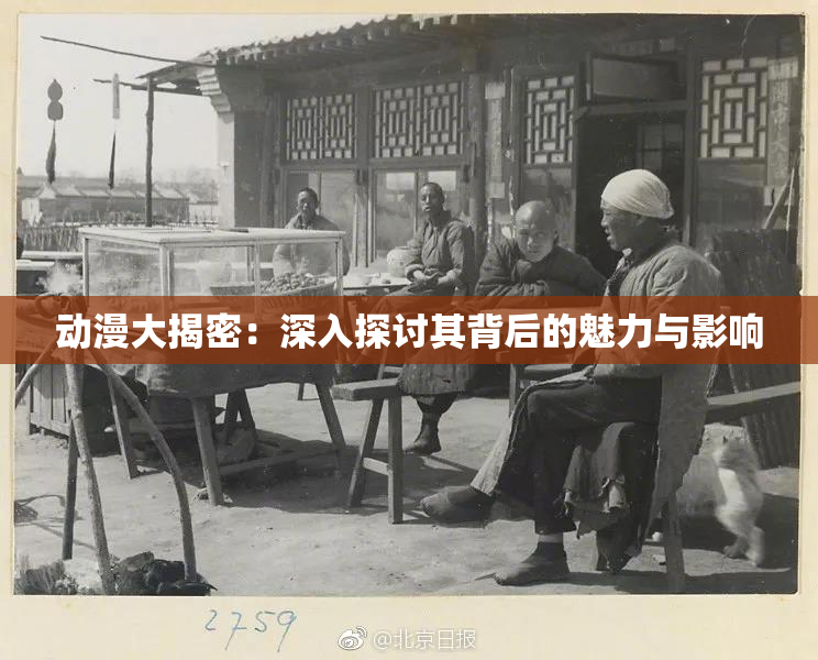 动漫大揭密：深入探讨其背后的魅力与影响