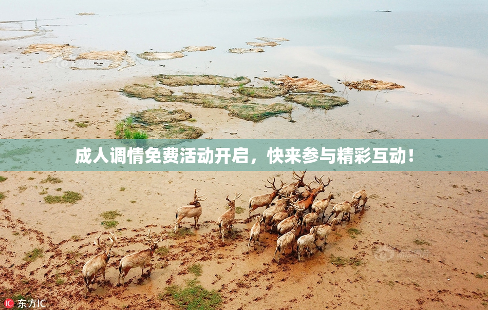 成人调情免费活动开启，快来参与精彩互动！