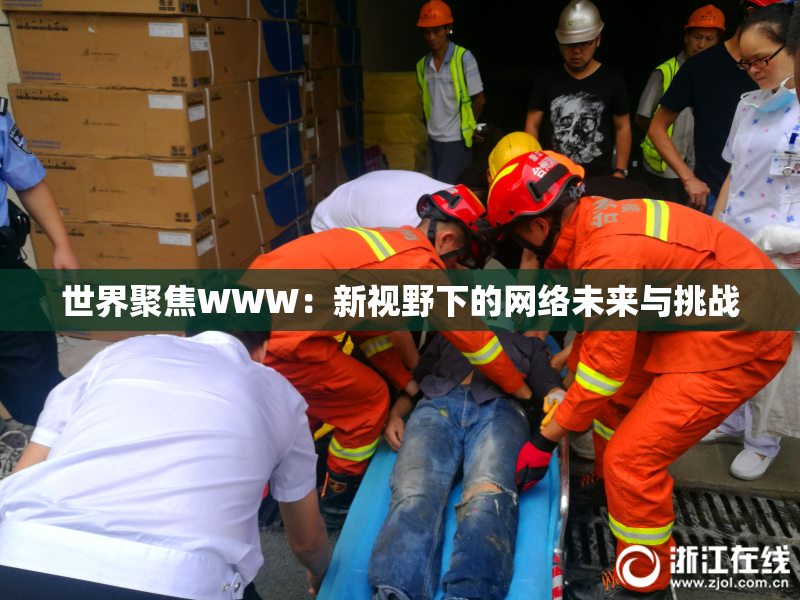 世界聚焦WWW：新视野下的网络未来与挑战