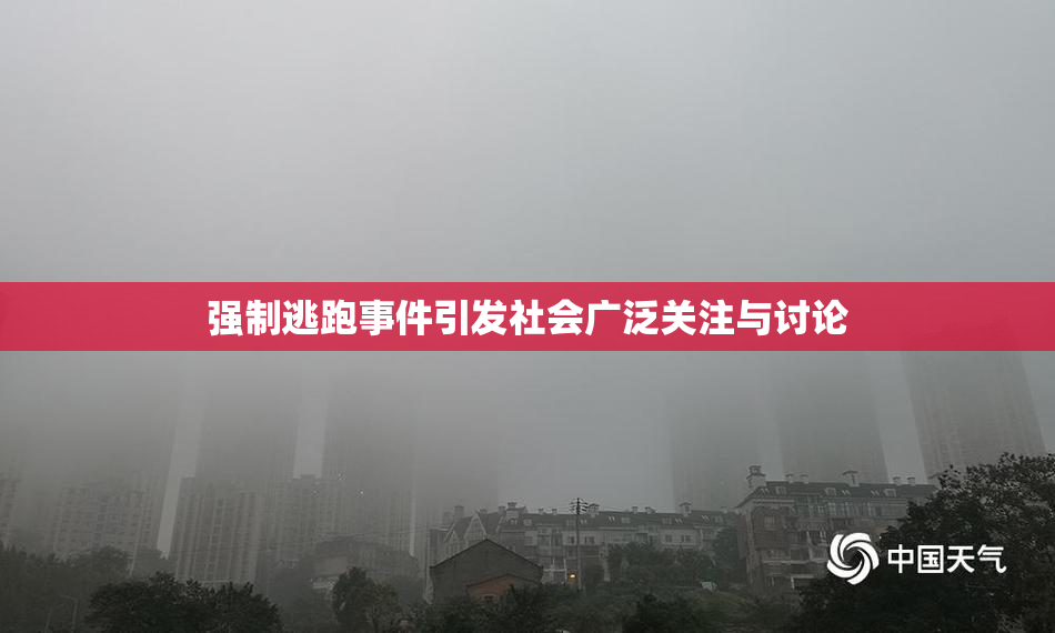 强制逃跑事件引发社会广泛关注与讨论