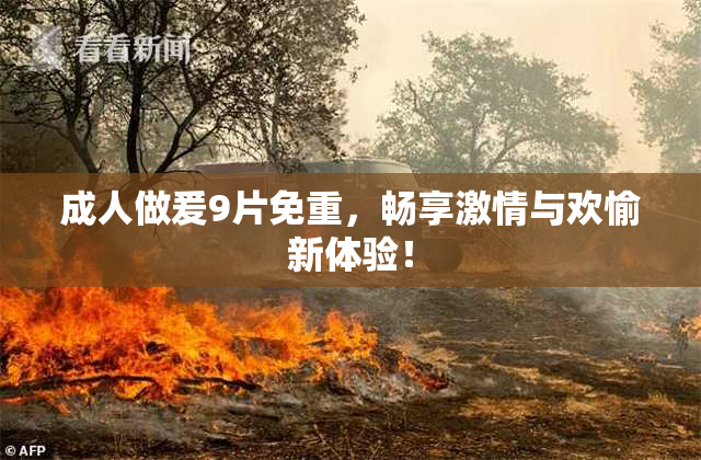 成人做爰9片免重，畅享激情与欢愉新体验！