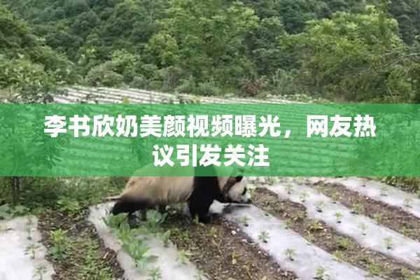 李书欣奶美颜视频曝光，网友热议引发关注