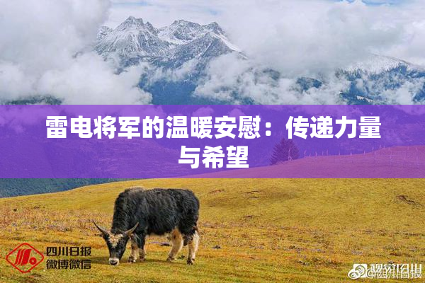 雷电将军的温暖安慰：传递力量与希望