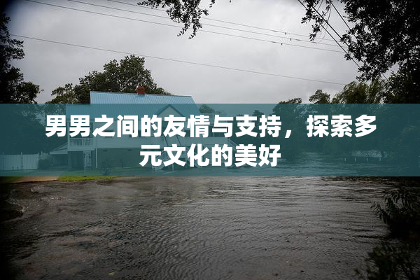 男男之间的友情与支持，探索多元文化的美好