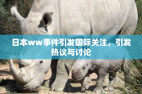 日本ww事件引发国际关注，引发热议与讨论