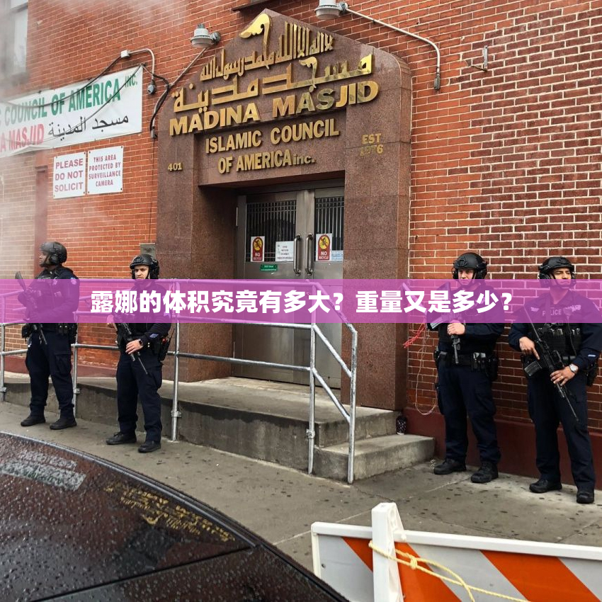 露娜的体积究竟有多大？重量又是多少？