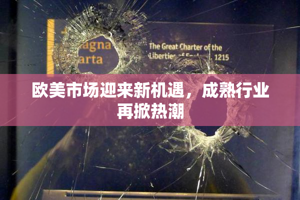 欧美市场迎来新机遇，成熟行业再掀热潮