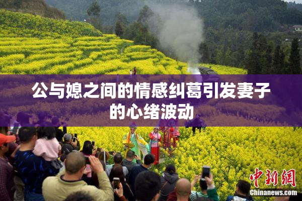 公与媳之间的情感纠葛引发妻子的心绪波动