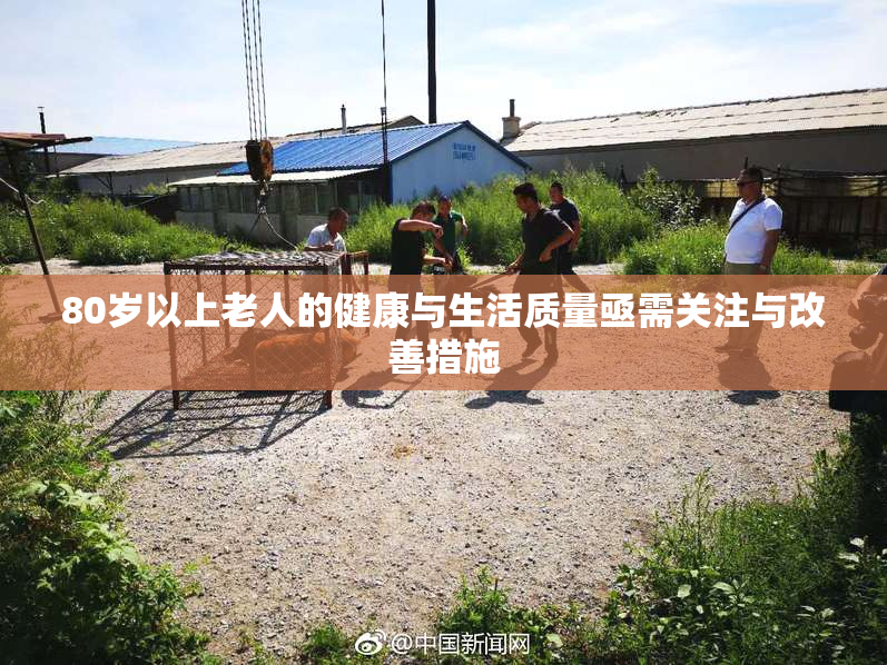 80岁以上老人的健康与生活质量亟需关注与改善措施