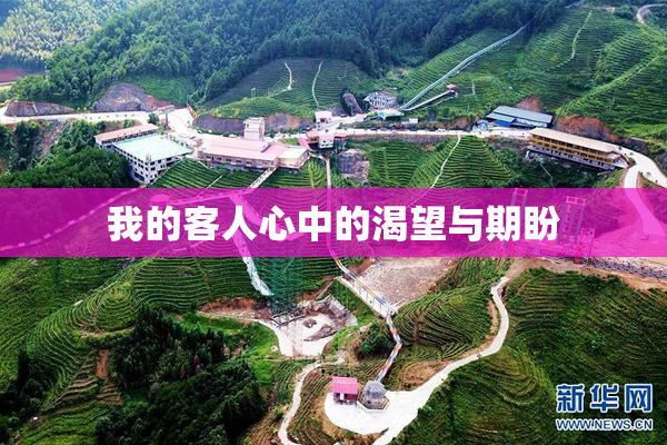 我的客人心中的渴望与期盼
