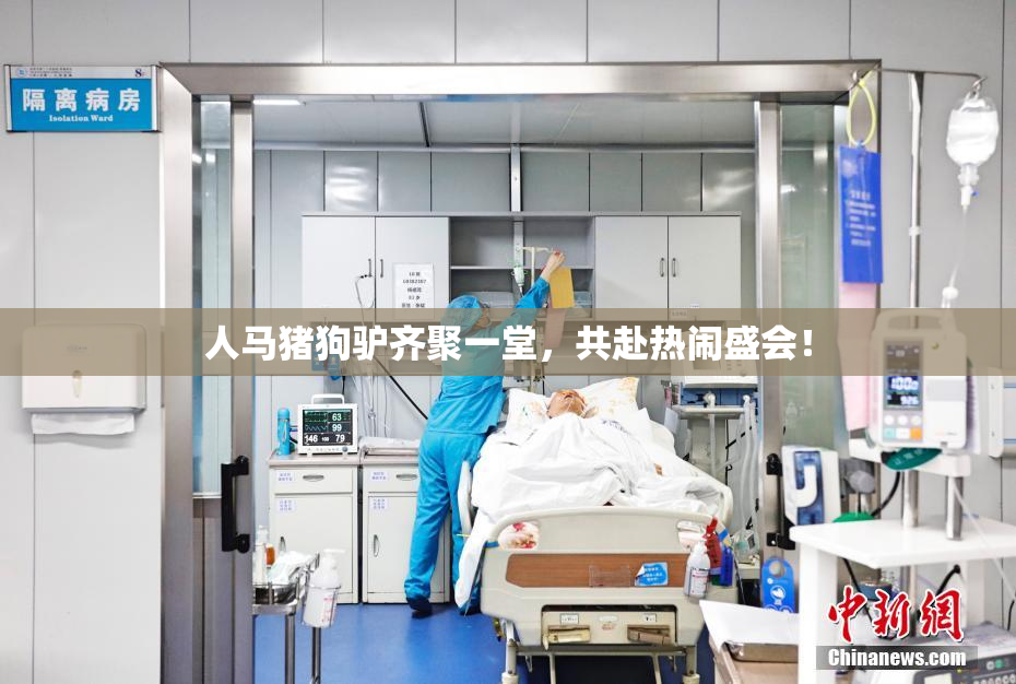 人马猪狗驴齐聚一堂，共赴热闹盛会！