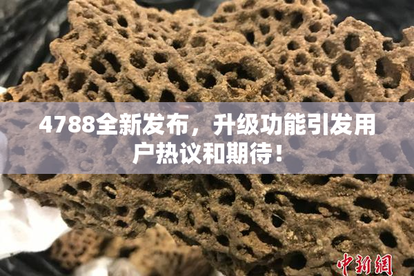 4788全新发布，升级功能引发用户热议和期待！