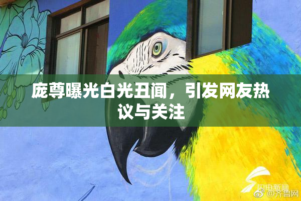 庞尊曝光白光丑闻，引发网友热议与关注